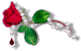 bienvenue sur mon site